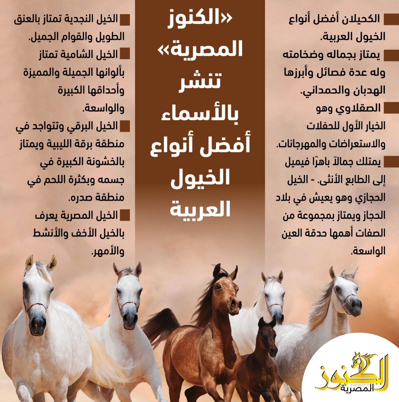 أنواع الخيول
