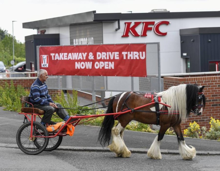 تعرف على سبب رفض مطعم تقديم وجبة لسائق عربة يجرها حصان