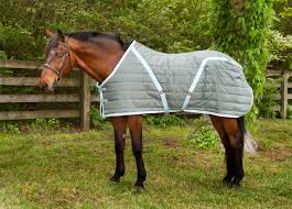 تبريد وتسخين وعلاج ووقاية من المطر.. تعرف على استخدامات أبرز 7 أغطية للحصان (صور)