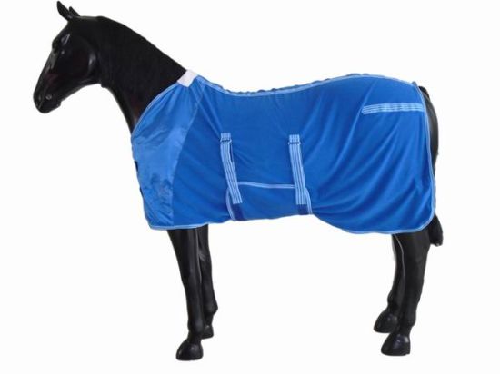 تبريد وتسخين وعلاج ووقاية من المطر.. تعرف على استخدامات أبرز 7 أغطية للحصان (صور)