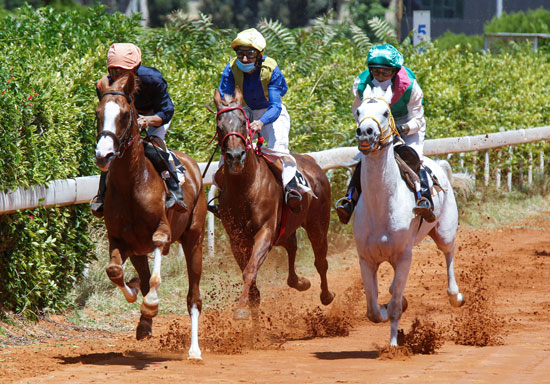 بالصور.. أول سباق خيول في زمن الكورونا.. كمامة وتباعد اجتماعي وممنوع المراهنات