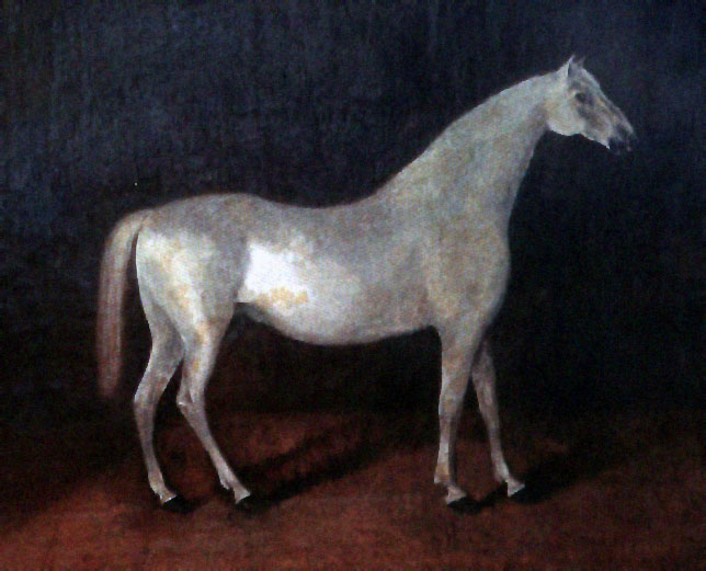 الحصان سميتانكا
