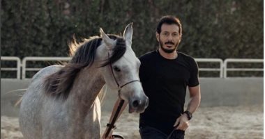 سندباد وبدور وزمزم .. قصة عشق مصطفى شعبان للخيول على منصات التتويج (صور وفيديو)