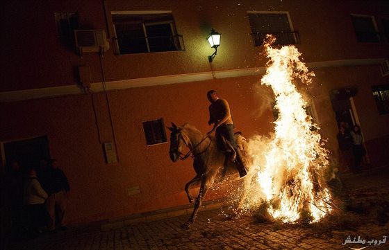 اركب حصانك واقفز في النار.. طقوس أغرب مهرجان خيول في العالم (صور)