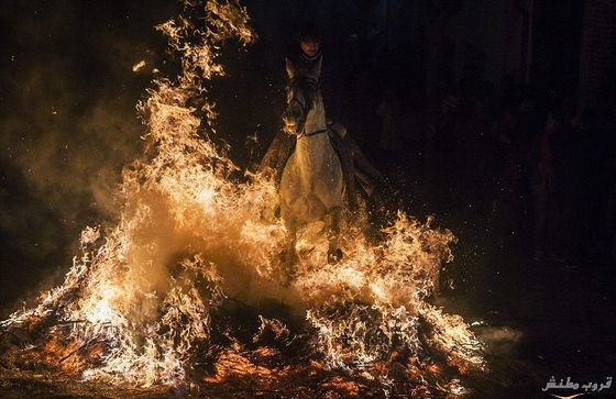 اركب حصانك واقفز في النار.. طقوس أغرب مهرجان خيول في العالم (صور)