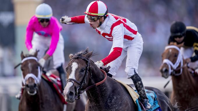 بالصور والأسماء والجوائز.. أغلى 10 سباقات خيول في العالم