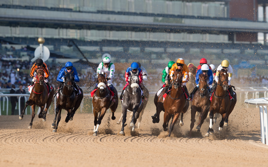بالصور والأسماء والجوائز.. أغلى 10 سباقات خيول في العالم