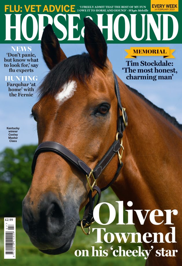 بالأسماء والتخصصات.. أشهر 5 مجلات عن الخيول في العالم