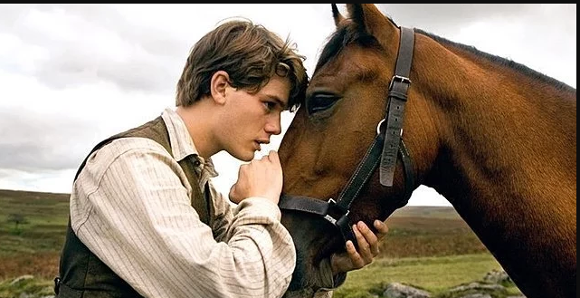 بالأسماء والصور.. أشهر 10 أفلام سينمائية عن الخيول