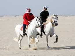 يشبهونها بـ"اللؤلؤ".. كيف يعبر أهل البحرين عن حبهم للخيول؟