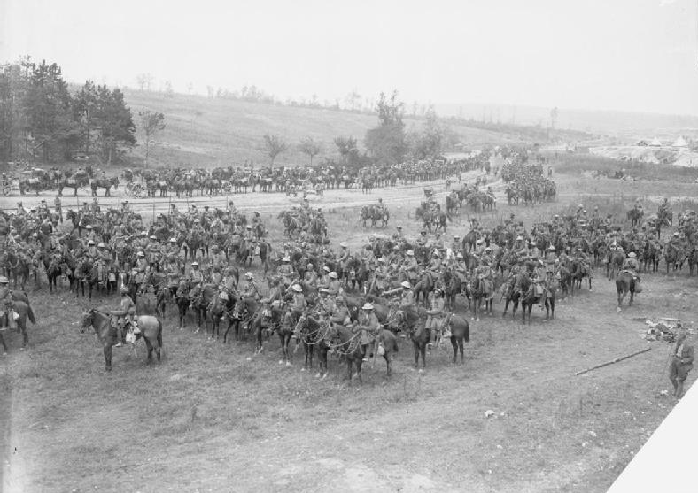 قتلوا بنيران المدفعية وتسمموا بالغاز.. كيف أنهت الحرب العالمية الأولى استخدام الخيول في الحروب؟