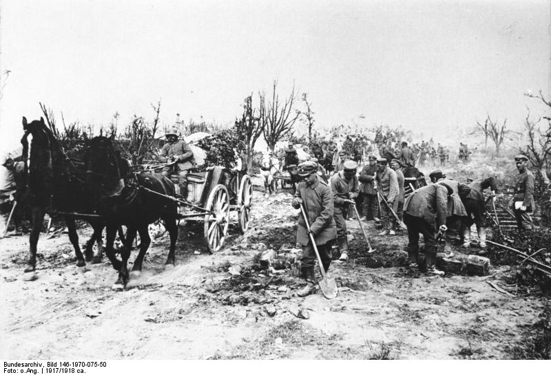 قتلوا بنيران المدفعية وتسمموا بالغاز.. كيف أنهت الحرب العالمية الأولى استخدام الخيول في الحروب؟