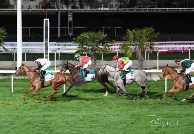 كأس الوثبة.. الحصان بيلاجيو يحصد لقب الجولة الـ19.. و"الصياد" أبرز منافسي الجولة العشرين