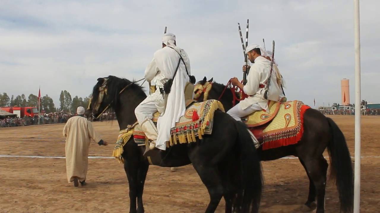 كيف حافظت الخيول في المغرب على لياقتها البدنية في فترة عزل "كورونا؟