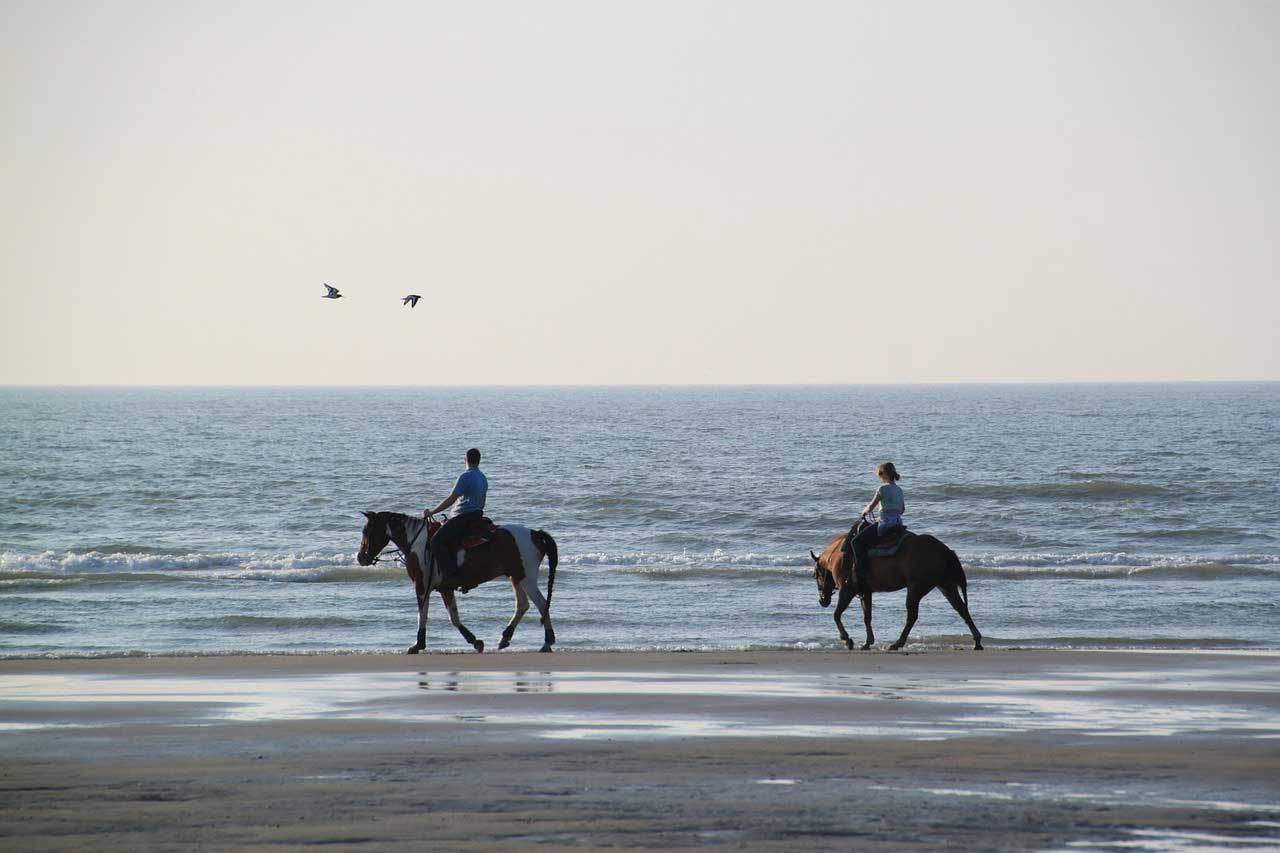 بالصور.. سحر ركوب الخيول في طبيعة جزيرة بالي الإندونيسية
