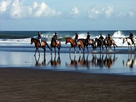 بالصور.. سحر ركوب الخيول في طبيعة جزيرة بالي الإندونيسية