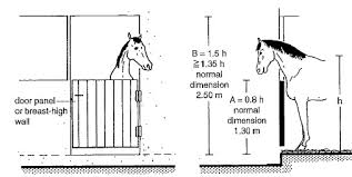 3 أنواع من إسطبلات الخيول.. تعرف على تفاصيل الحماية