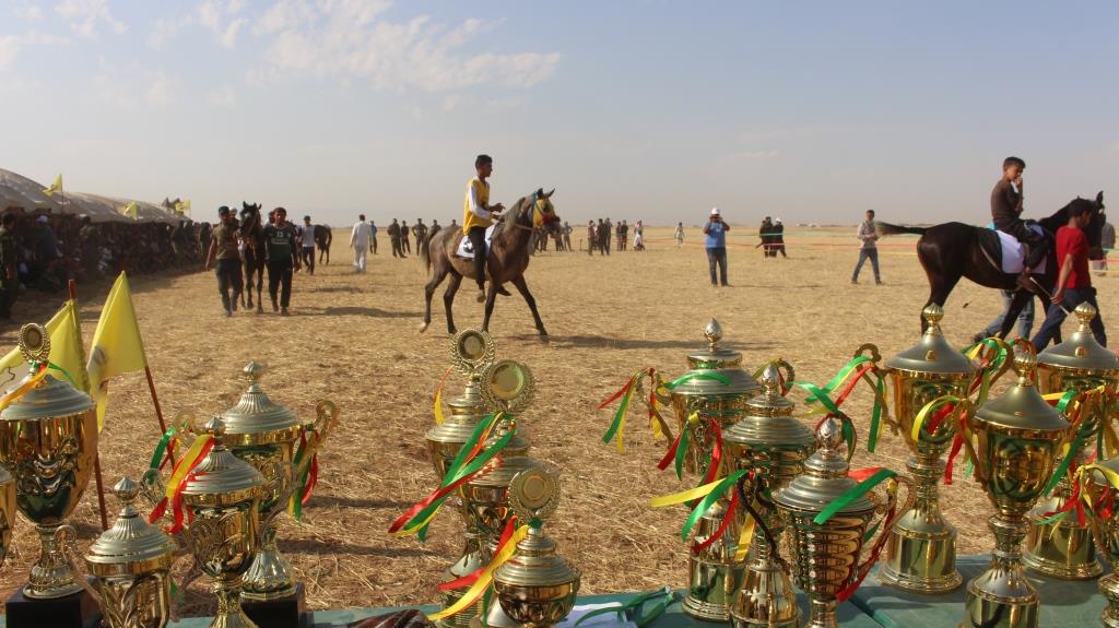شاهد.. انطلاق المهرجان الثامن للخيول العربية الأصيلة في سوريا بمشاركة 120 حصانا