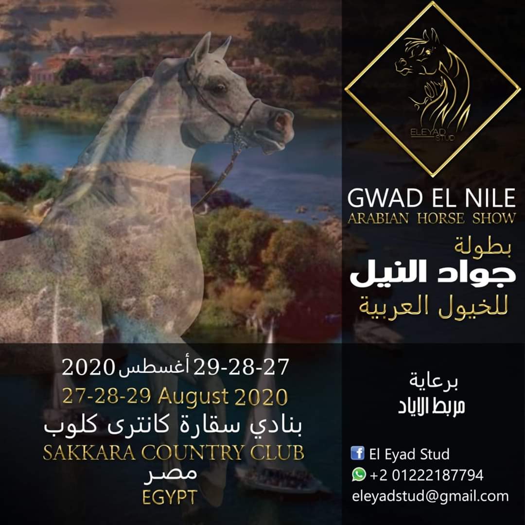 انطلاق بطولة "جواد النيل" 27 أغسطس المقبل برعاية مربط الإياد