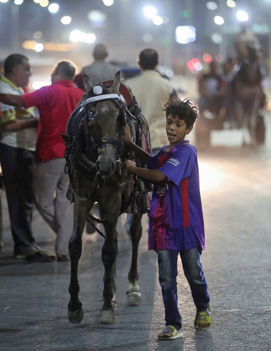 بالصور.. سباق لخيول الكارو في شوارع القاهرة