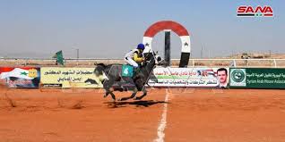الجمعة.. انطلاق سباق الخيول العربية الأصيلة في سوريا