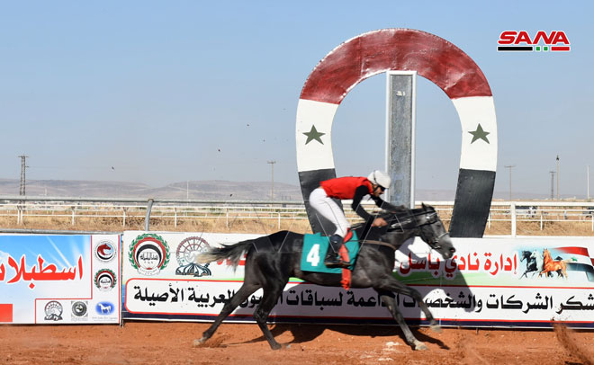 بالصور.. 42 فارسا يشاركون في سباق الخيول العربية الأصيلة في سوريا