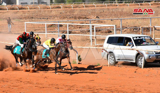 الجمعة.. انطلاق سباق الخيول العربية الأصيلة في سوريا
