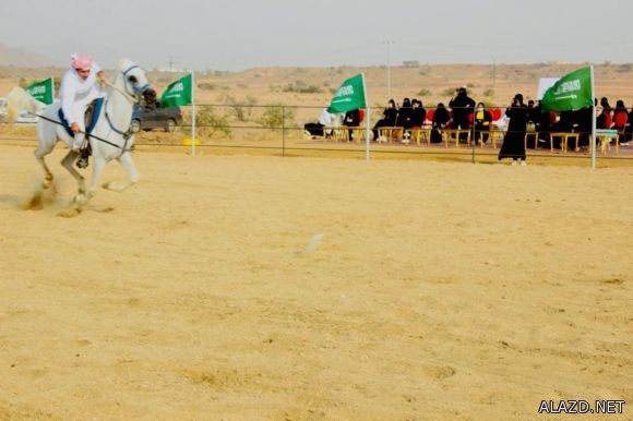 بالصور.. 15 فارسا يستعرضون مهارتهم في إلتقاط الأوتاد في مهرجان عسير السعودية