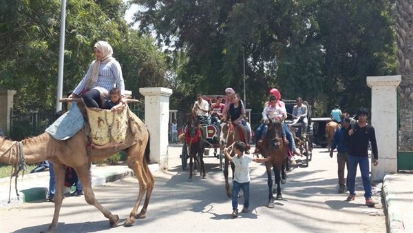صور وفيديو.. ركوب الحصان في العيد.. متعة للكبار وبهجة للأطفال