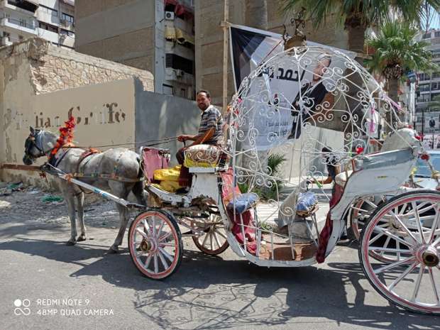 فسحة العيد وزفة العروسين.. حنطور "سندريلا" ينشر البهجة في شوارع بورسعيد