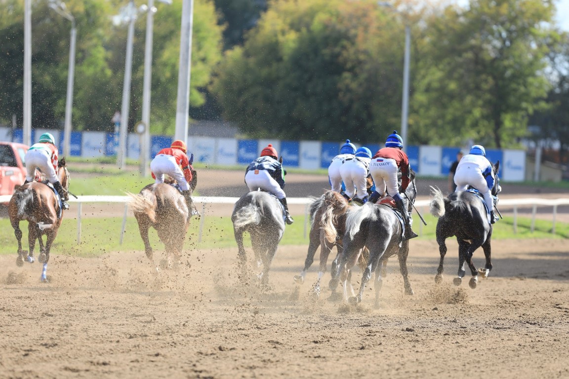 اليوم.. روسيا تستضيف سباق الخيول العربية الأصيلة بمشاركة 12 حصانا