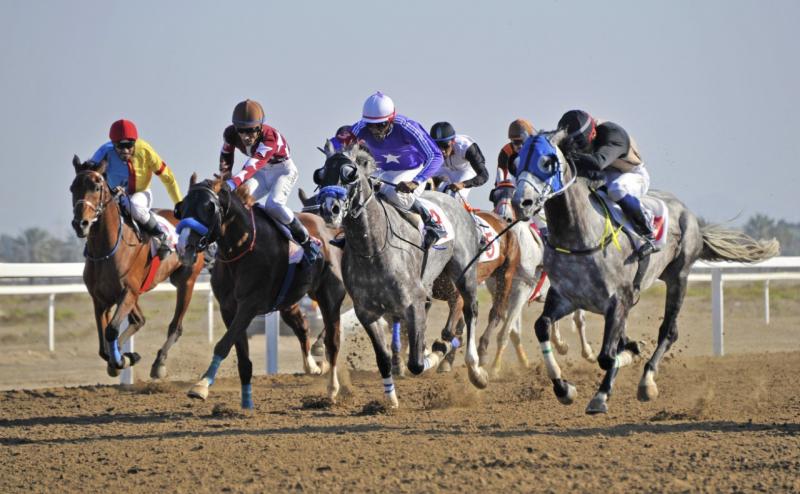 لا يعترف بالسرعة.. "بانية" أبطأ سباق في العالم بين خيول ضخمة في اليابان