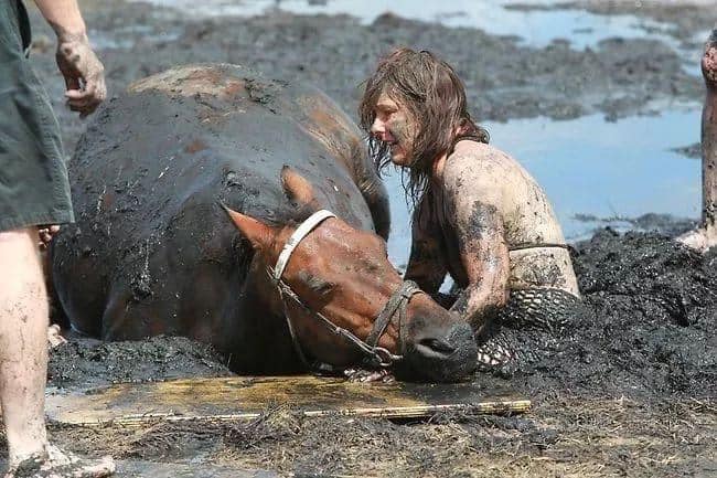 صور سيدة أسترالية تحمل رأس حصانها 3 ساعات تتصدر مواقع التواصل الاجتماعي