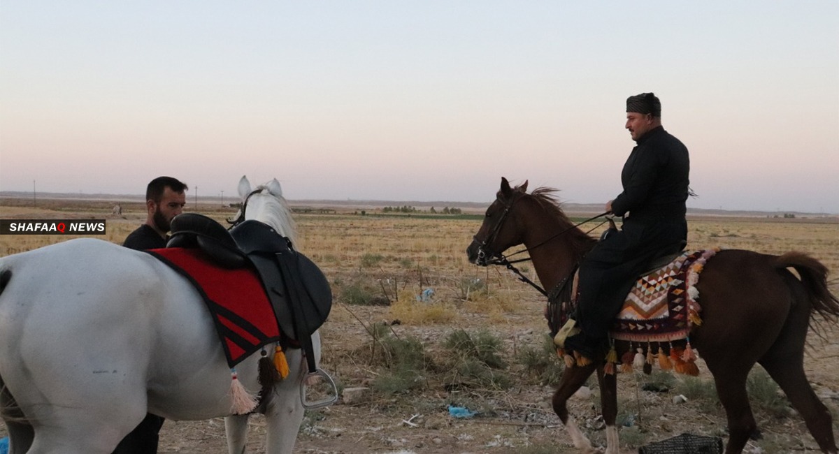 بالصور.. كيف تحول شرطي عراقي لمربي خيول في 6 سنوات؟