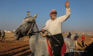 12 صورة من مهرجان سرمد للخيول العربية الأصيلة في سوريا