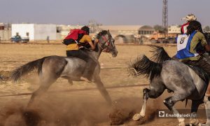 12 صورة من مهرجان سرمد للخيول العربية الأصيلة في سوريا