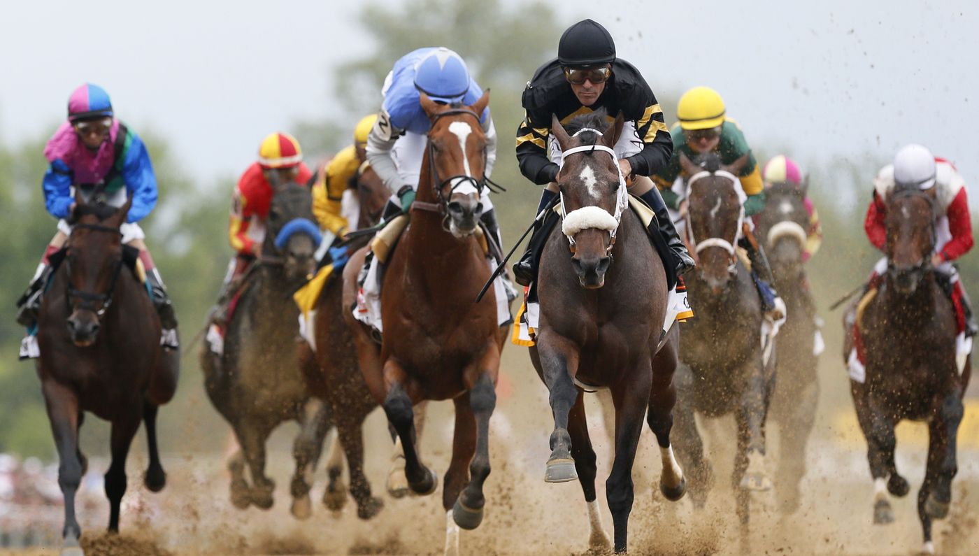 كورونا يتسبب في تأجيل يوم دبي الدولي للخيول العربية إلى عام 2021