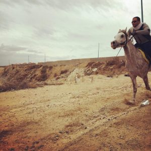 "صداقة فرقها الموت".. مدرب خيل مصري يروي قصته مع حصانه المتوفي "بحر"