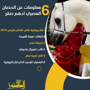 6 معلومات عن الحصان المصري أدهم صقر.. ثالث أجمل خيول العالم