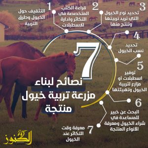 7 نصائح لبناء مزرعة تربية خيول منتجة