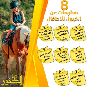 8 معلومات عن الخيول للأطفال