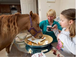بالصور.. حصان إنجليزي يأكل الكيك ويشرب "شاي بلبن"