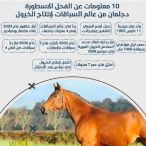 10 معلومات عن الفحل الاسطورة دجلمان من عالم السباقات لإنتاج الخيول