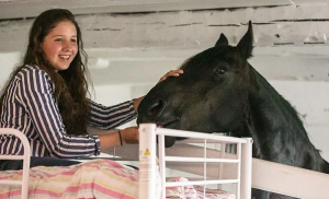 بالصور.. فندق بريطاني يقدم غرف مشتركة بين البشر والخيول