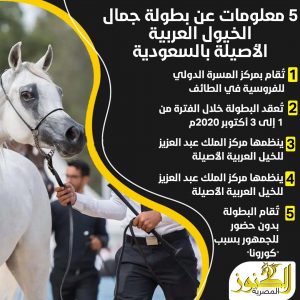 5 معلومات عن بطولة جمال الخيول العربية الأصيلة بالسعودية