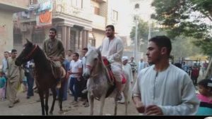 بالصور.. الخيول تتقدم مسيرة انتخابية في بني سويف