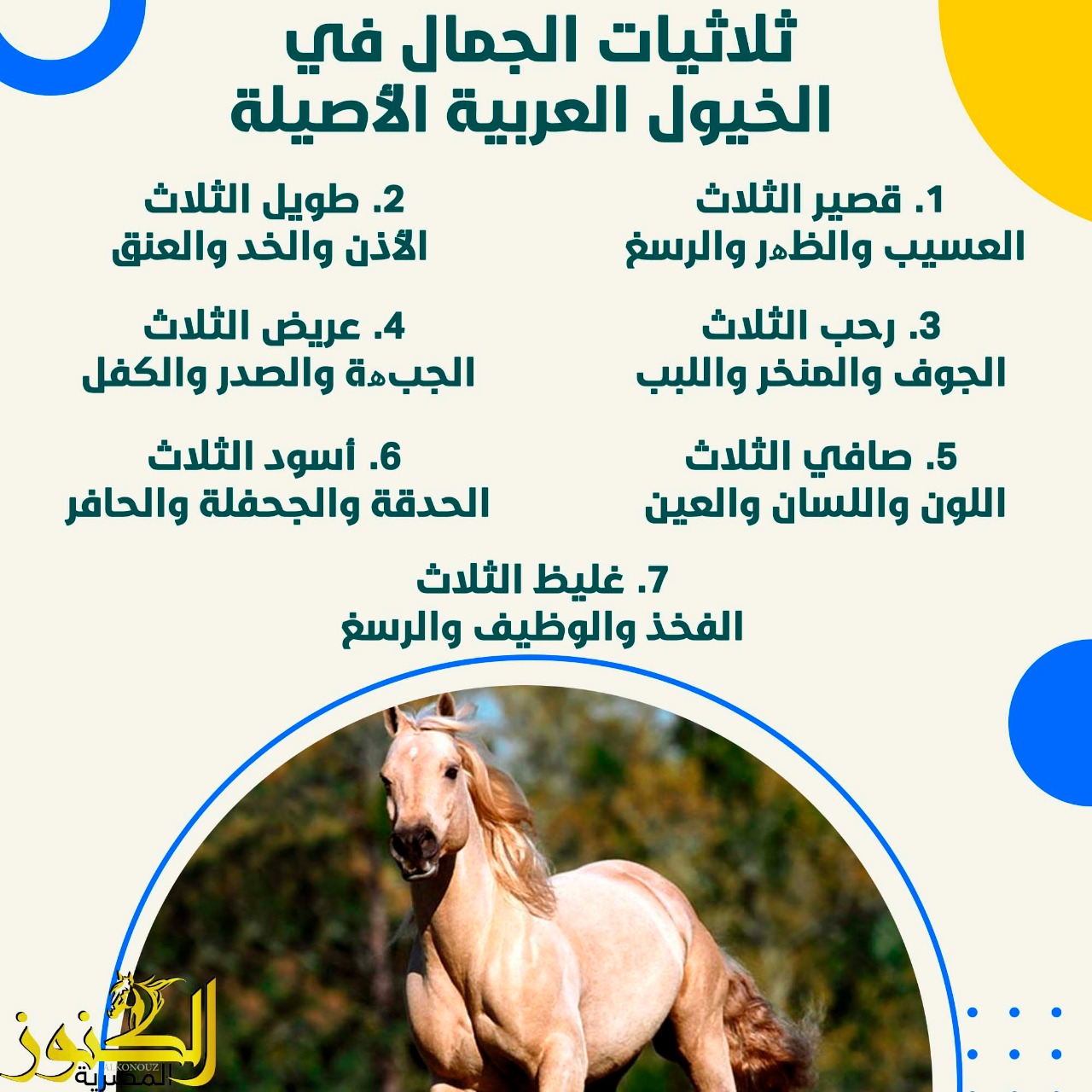 ثلاثيات الجمال في الخيول العربية الأصيلة.. الأفضل والأكرم والأشرف