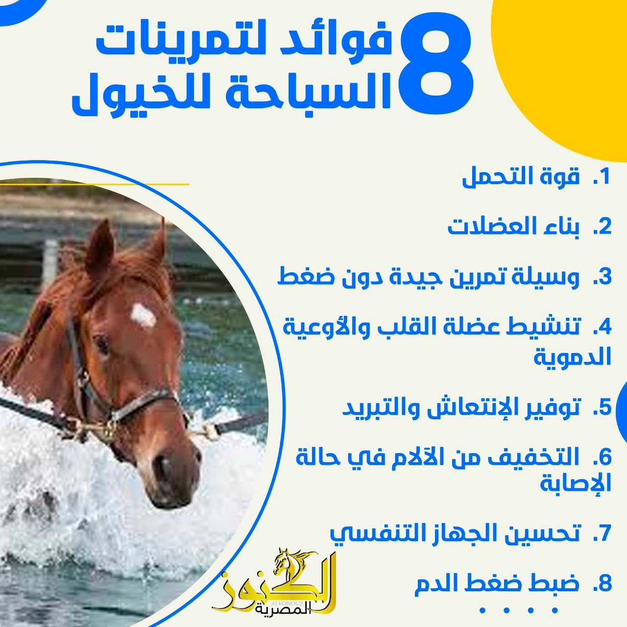 8 فوائد لتمرينات السباحة للخيول