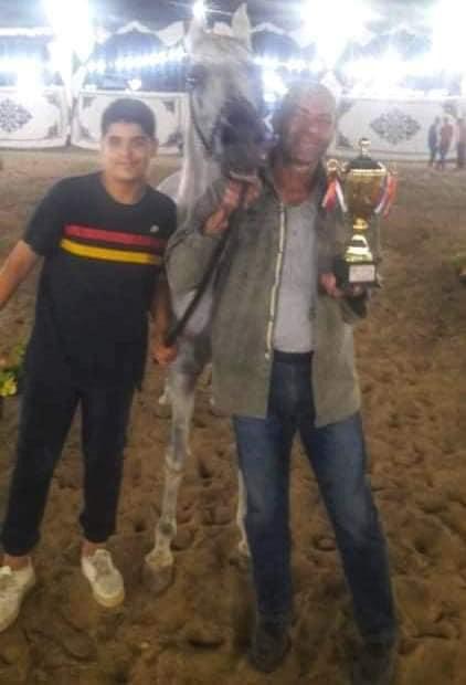 الحصان "شادي" يفوز بالمركز الثالث في مهرجان البحيرة الدولي للجواد العربي