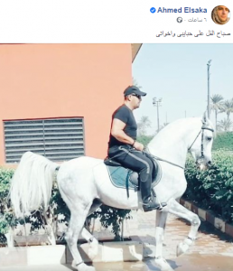 صورة.. أحمد السقا بملابس الفروسية على "فيس بوك"